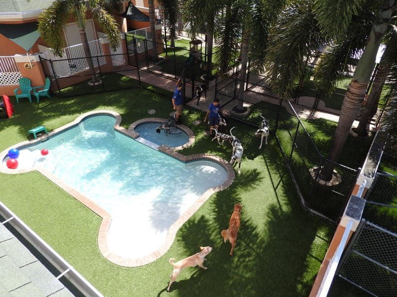 Virtual Tour Country Inn Pet Resort & Animal Hospital