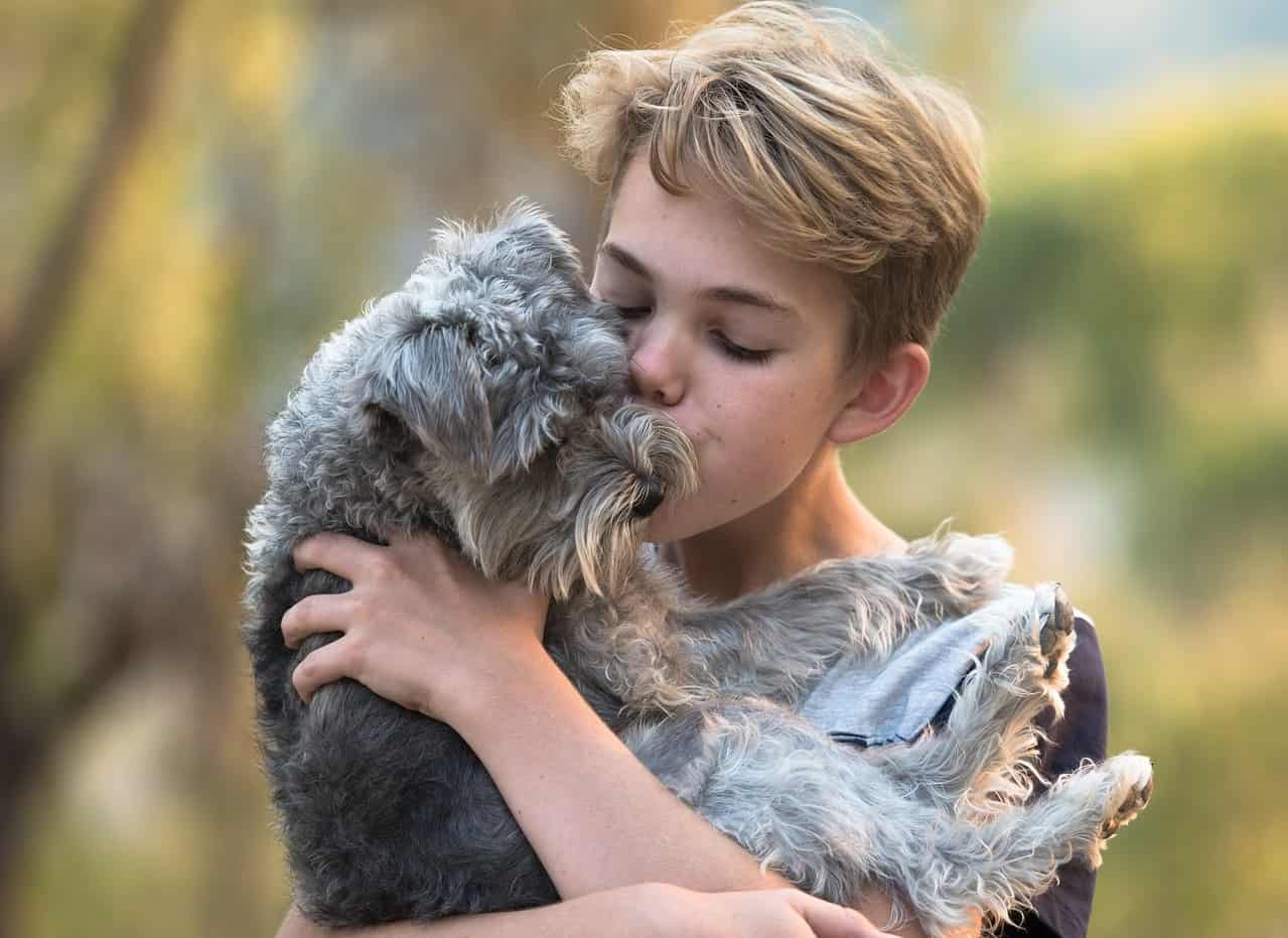A blond boy holding his small grey dog and giving him a kiss