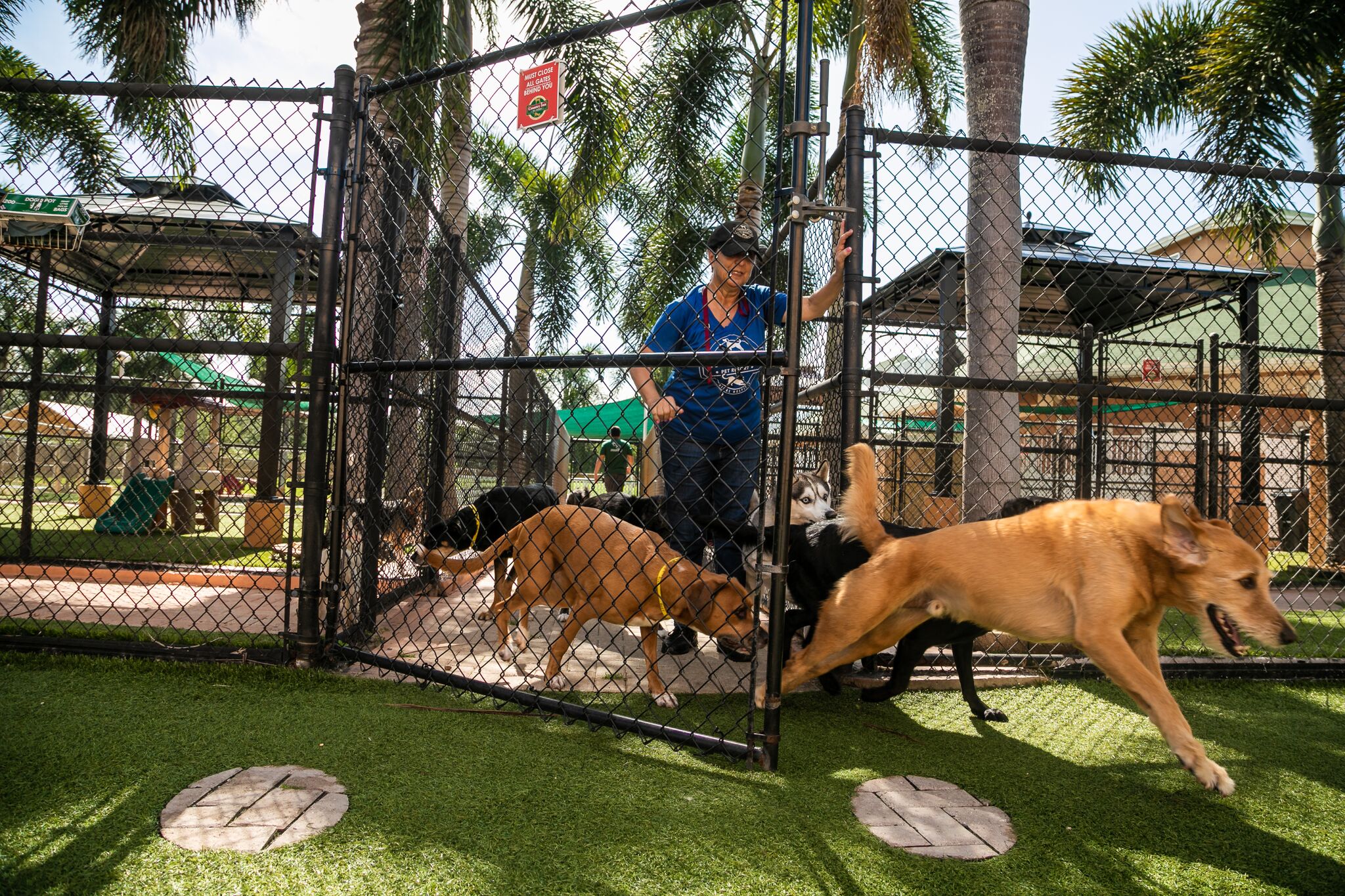 Pet Gallery Country Inn Pet Resort & Animal Hospital