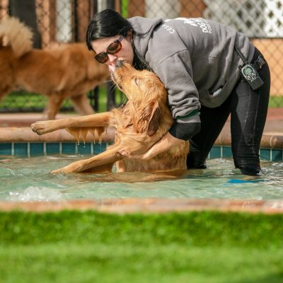 A team member playing with a dog in the pool