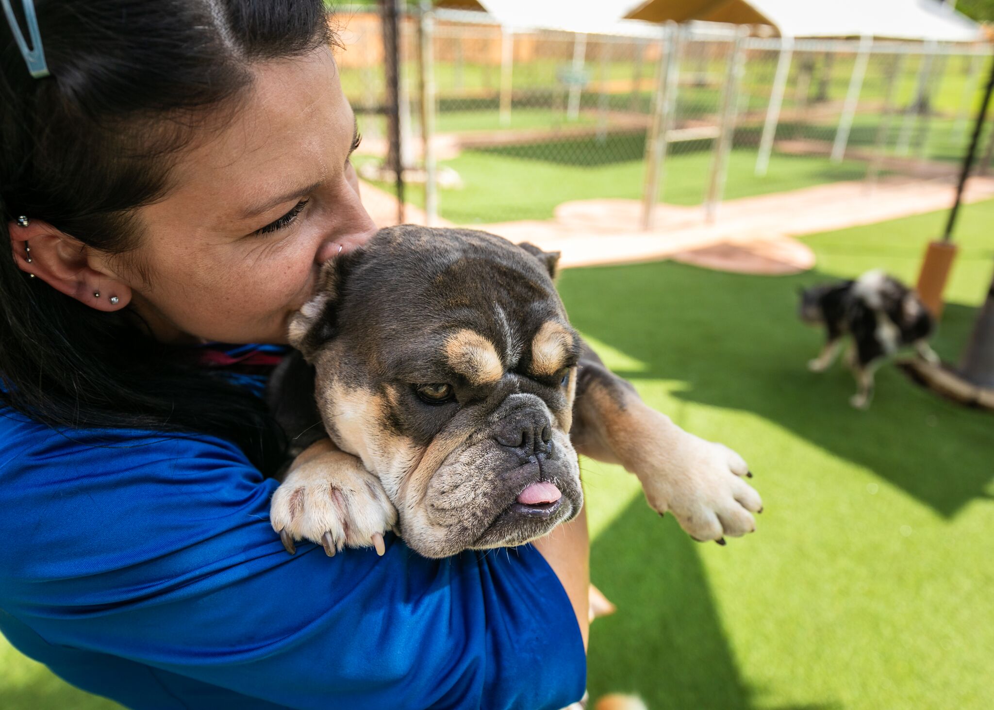 Veterinarian FL Fort Lauderdale Country Inn Pet Resort Local Animal